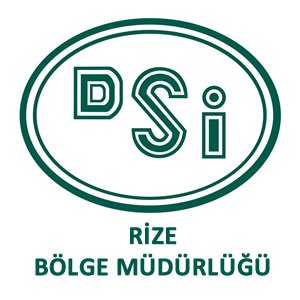 dsi